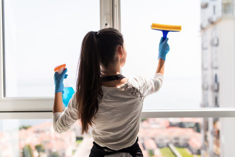 Maid cleaning windows